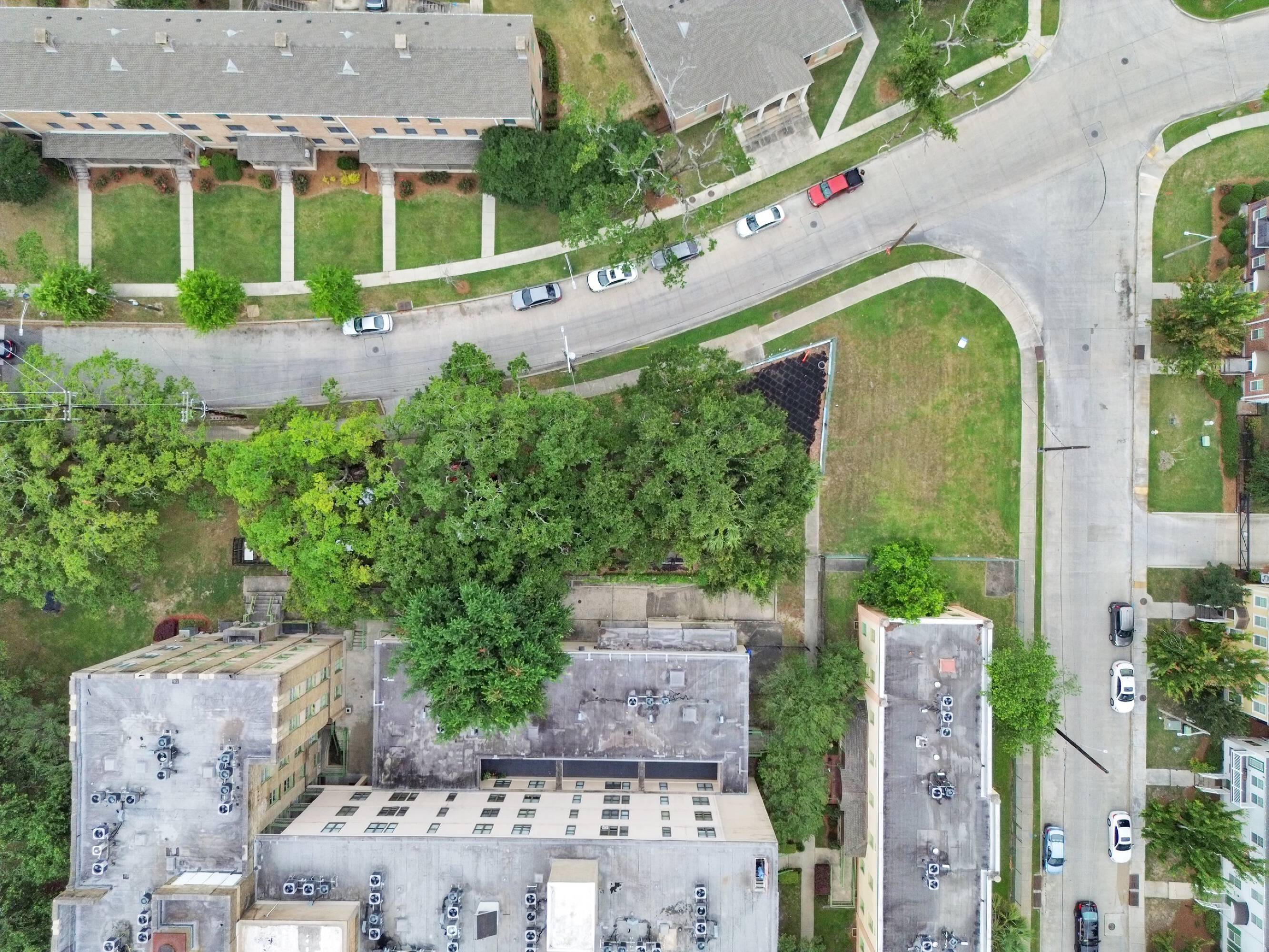 Commercial Property for Sale in New Orleans Louisiana 70115